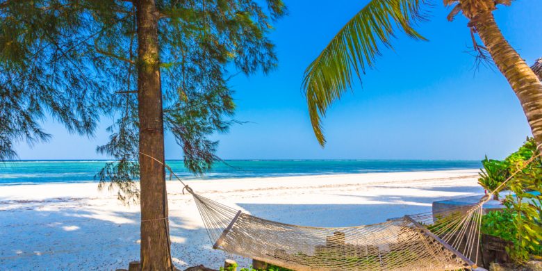 Visitors to Tanzania and Zanzibar