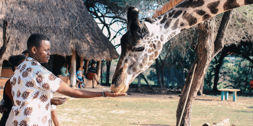 Kenya Safari camp