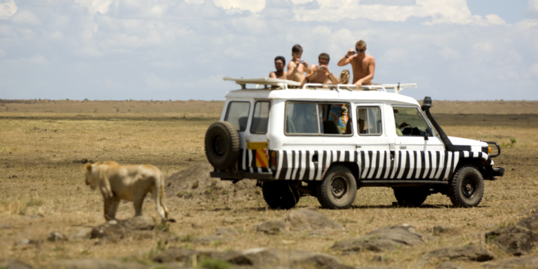 Stay in a Safari
